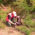 Pheasant Hunt 2012 039