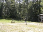 Picture 6424 (Small)