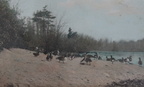 IMG 3817